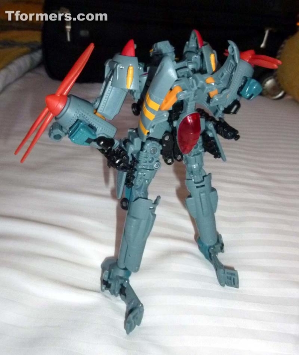 BotCon 2013   Convention Termination And Attendee Exclusives Figures Images Day 1 Gallery  (61 of 170)